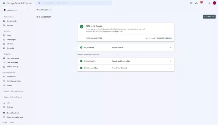 Pagina Indexada Google Search Console
