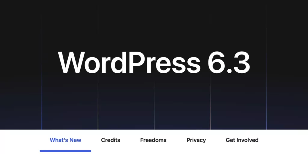 wordpress 6.3