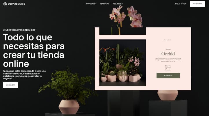 Mejores plataformas eCommerce Squarespace