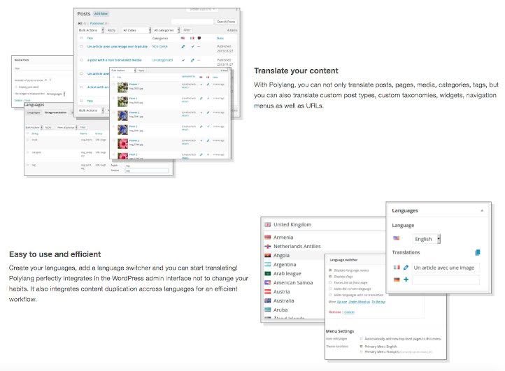 plugins wordpress polylang designplus