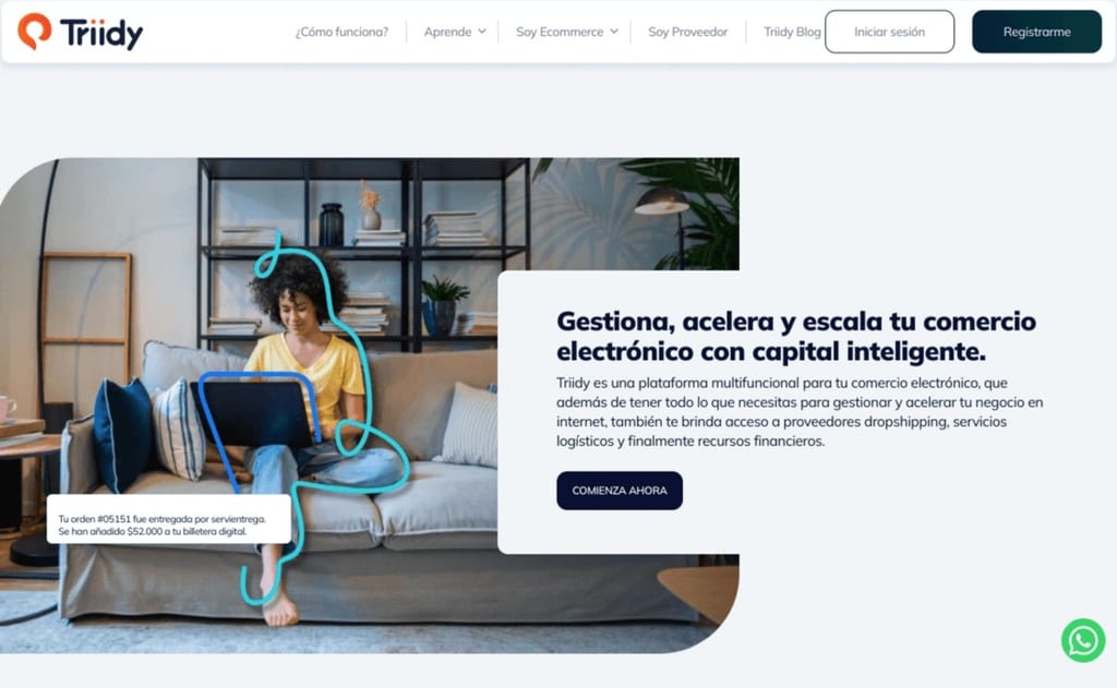 triidy dropshipping